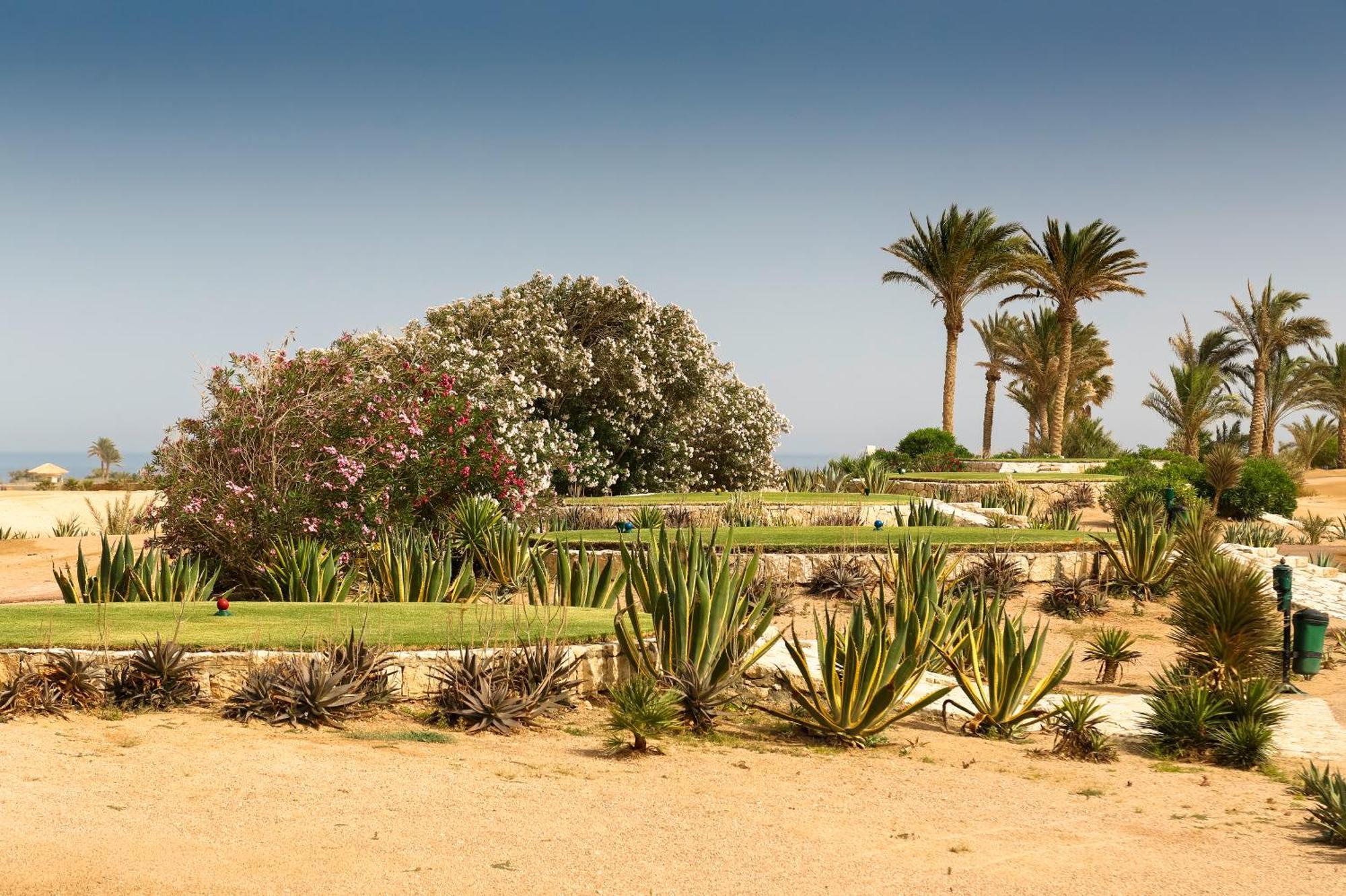 Hotel Robinson Soma Bay Hurghada Zewnętrze zdjęcie